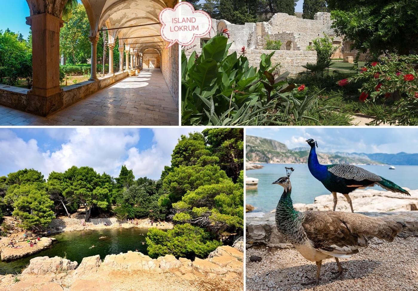 KomolacDubrovnik House - Leniアパートメント エクステリア 写真